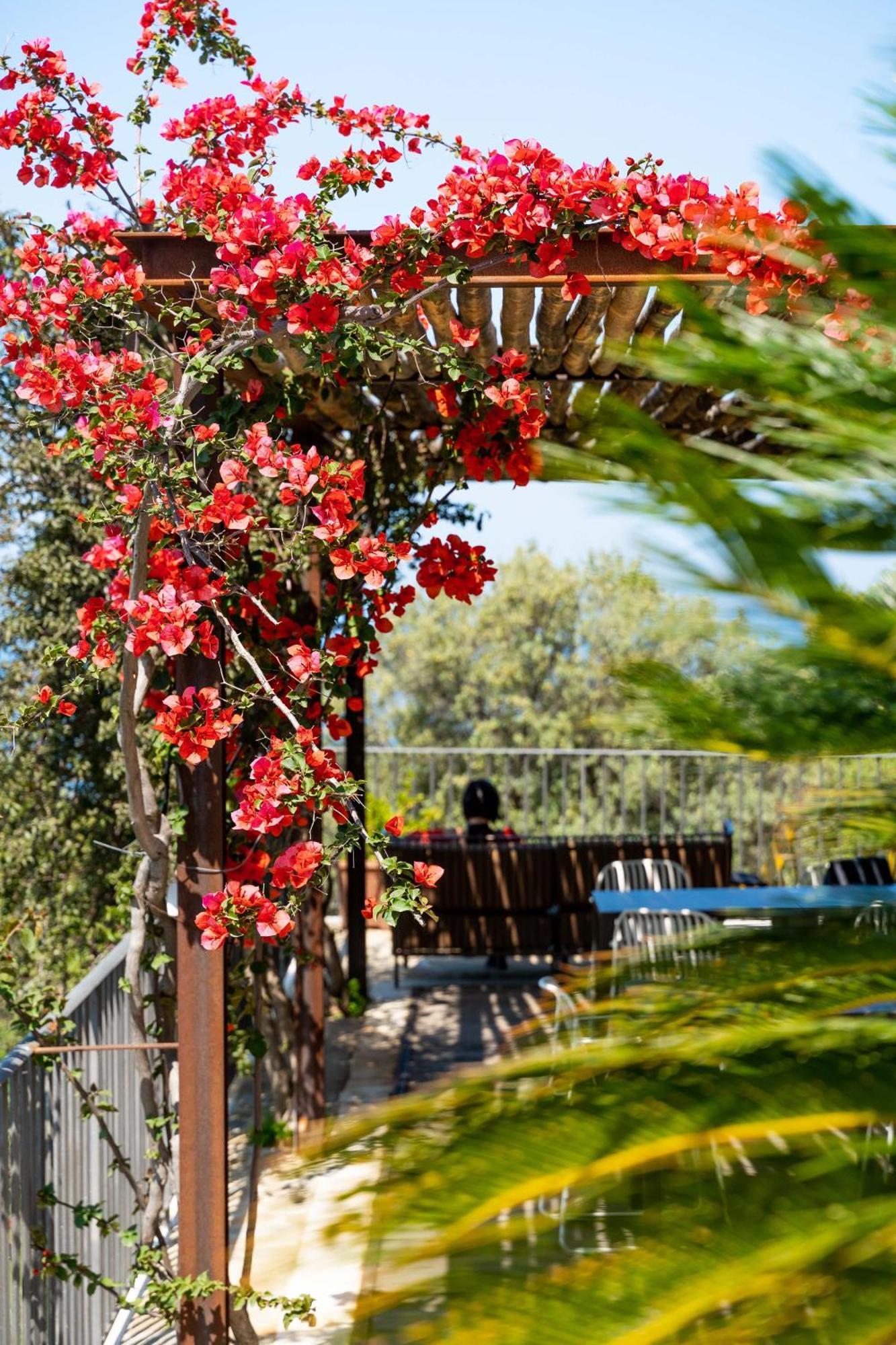 B&B Baia Di Trentova Agropoli Exterior photo